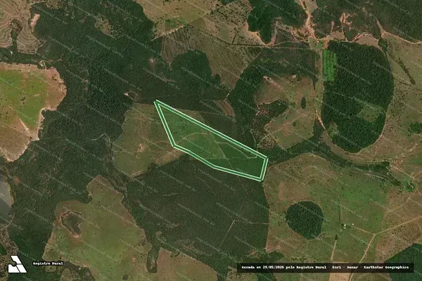 Imagem de compartilhamento para o artigo MP apura desmatamento irregular em fazenda de Alcinópolis e abre inquérito civil da MS Todo dia